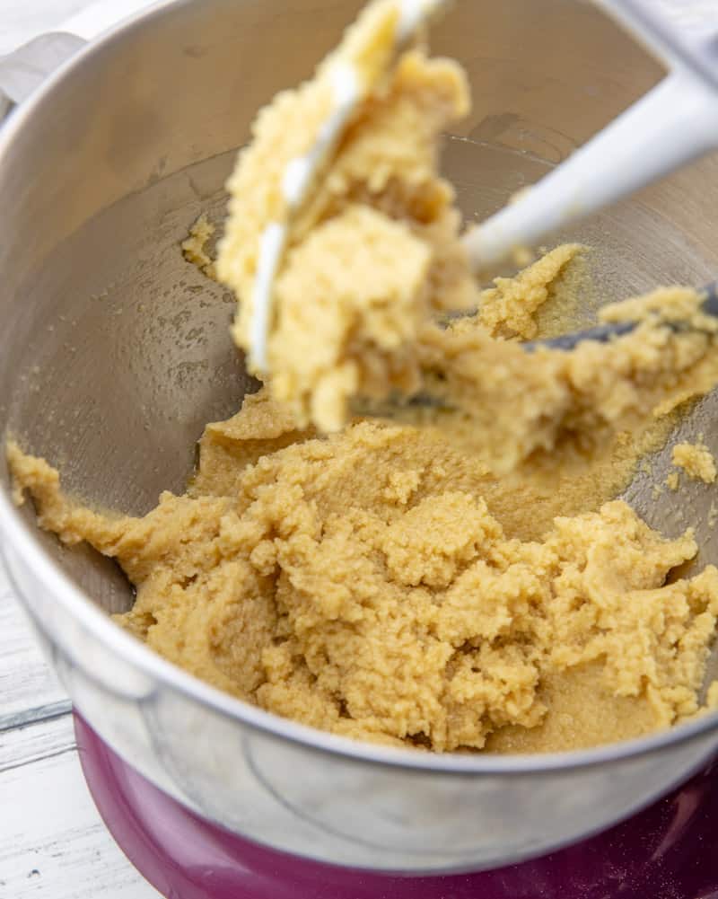 eggs and vanilla added to sugar mixture in an electric stand mixer