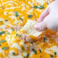 Warm Bean Dip topped with melted cheese