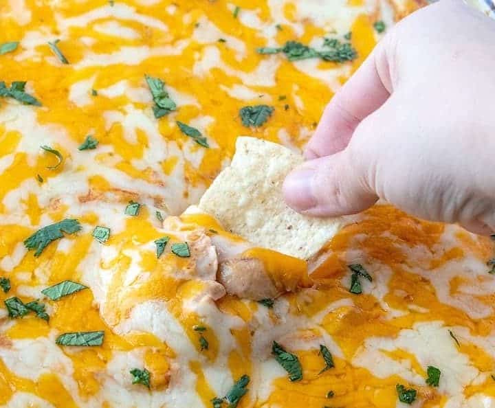 Warm Bean Dip topped with melted cheese