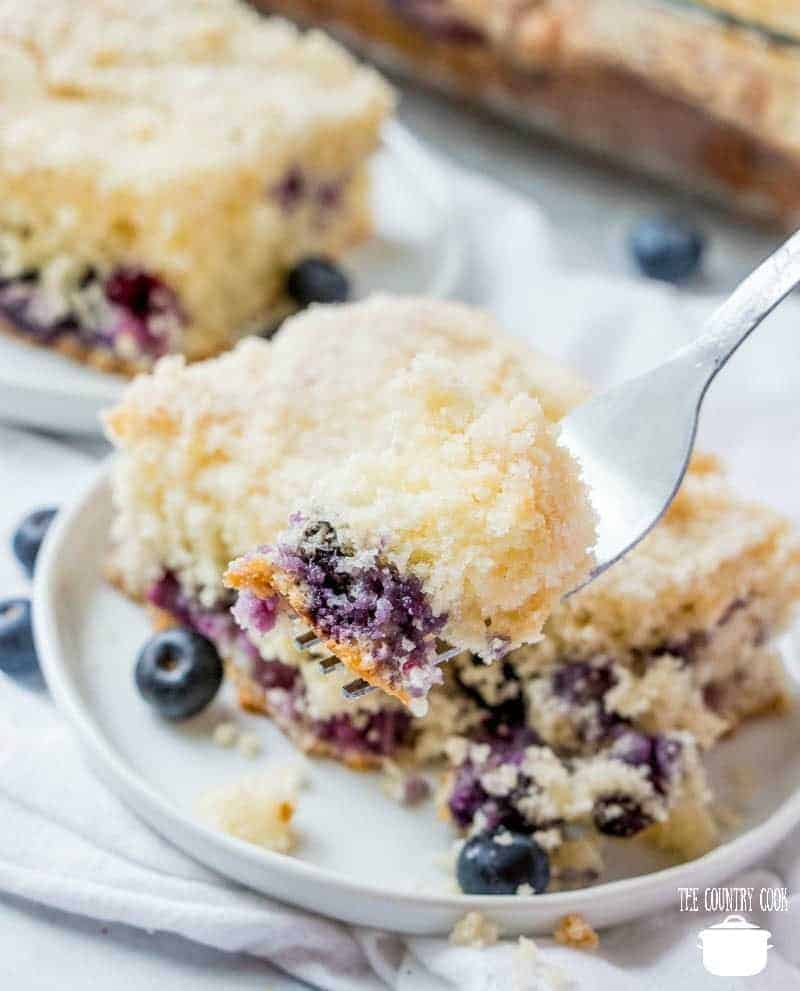 Biscuit Blueberry Cake with Bisquick (+Video)