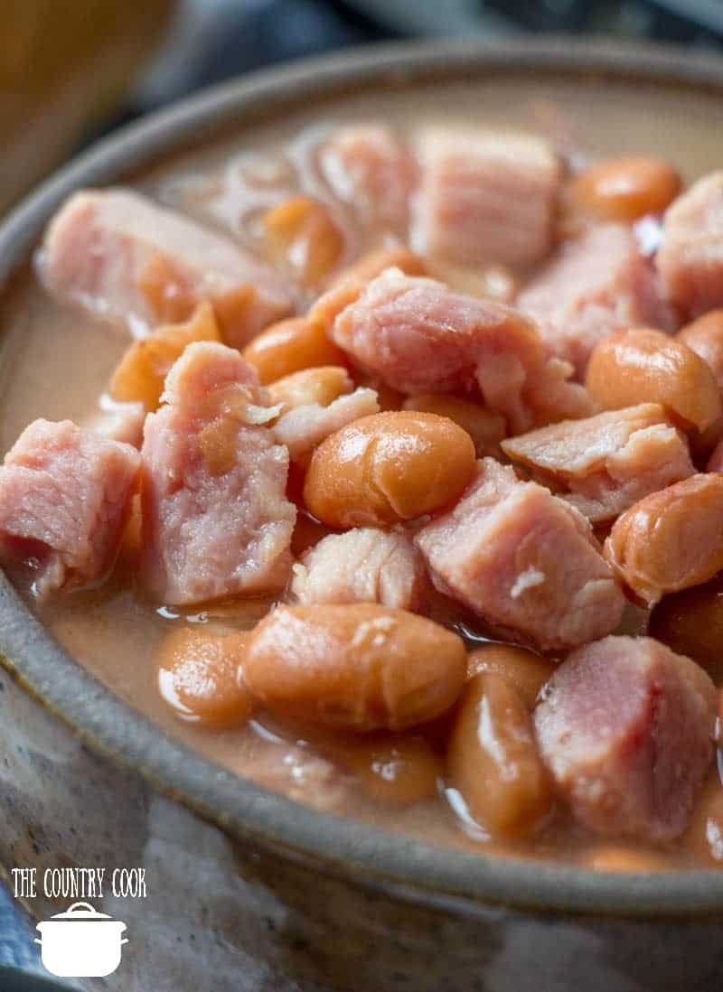 Easy Crock Pot Pinto Beans and Ham recipe shown closeup in a bowl. 