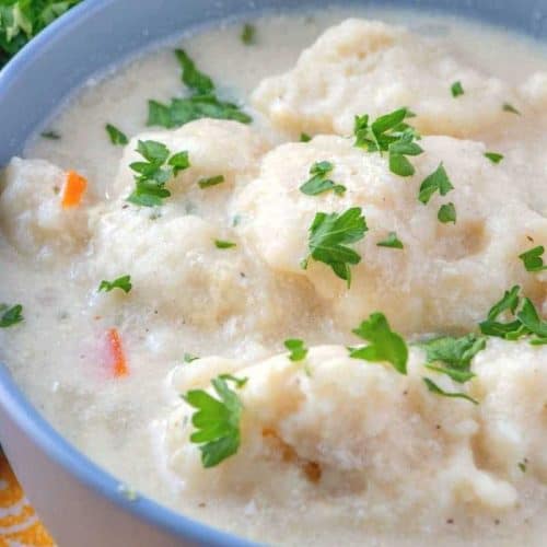 CROCK POT CHICKEN AND DUMPLINGS (+Video) | The Country Cook