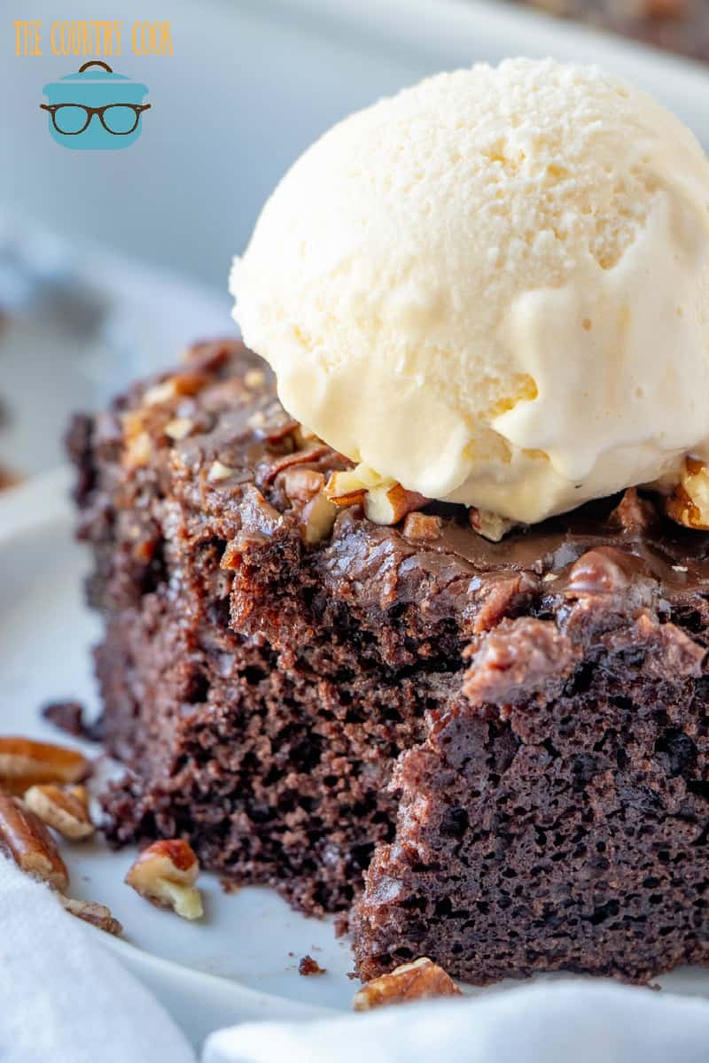 a closeup photo of chocolate cake with a serving of ice cream on top.