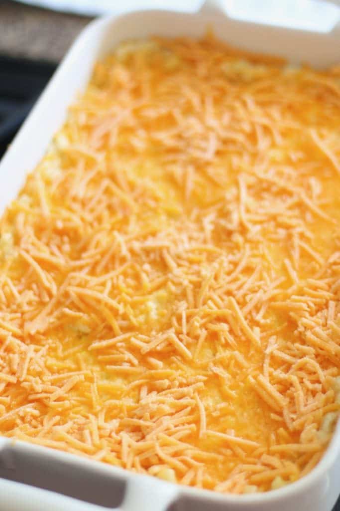 shredded cheddar cheese sprinkled on top of baked macaroni and cheese