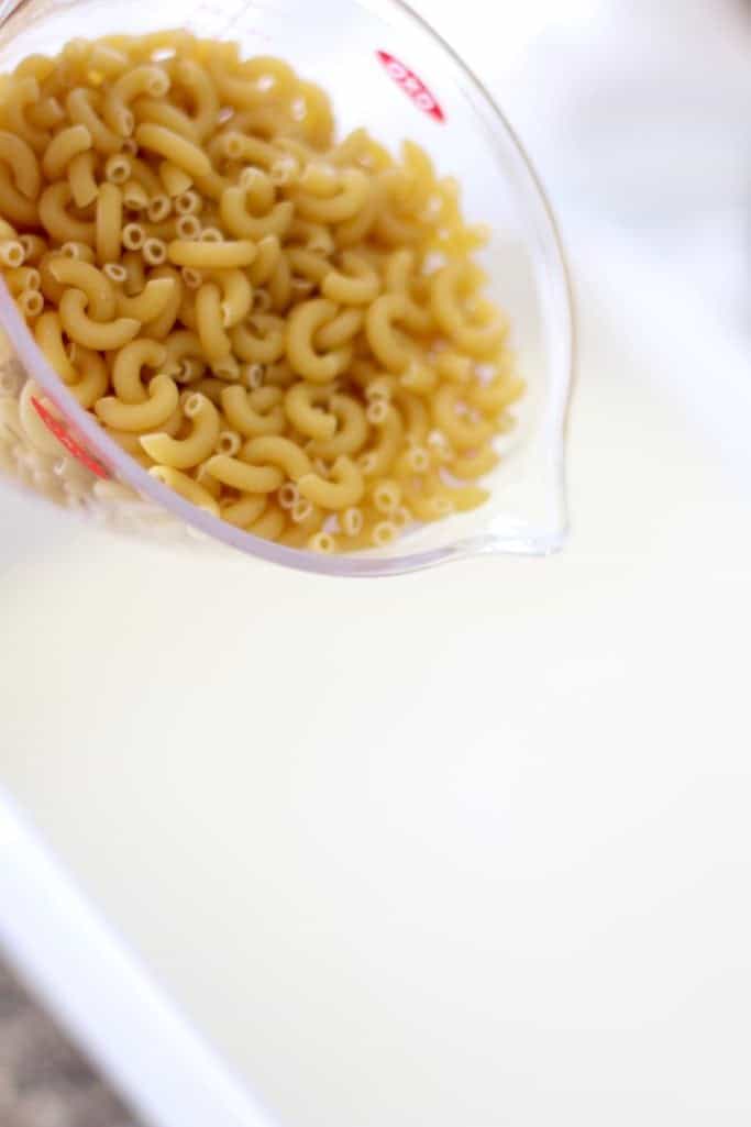 uncooked macaroni noodles