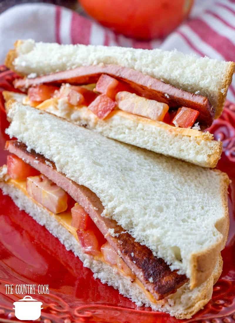 Fried Baloney with tomato, sliced and on a red plate.