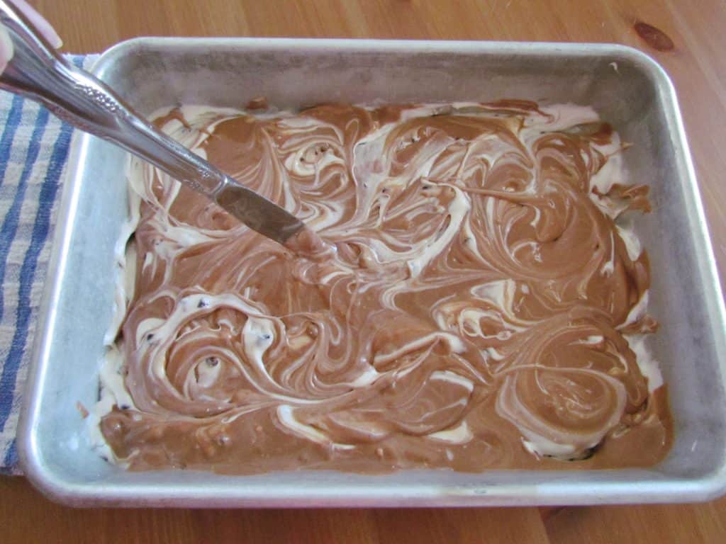Chocolate Chip Swirl Cake