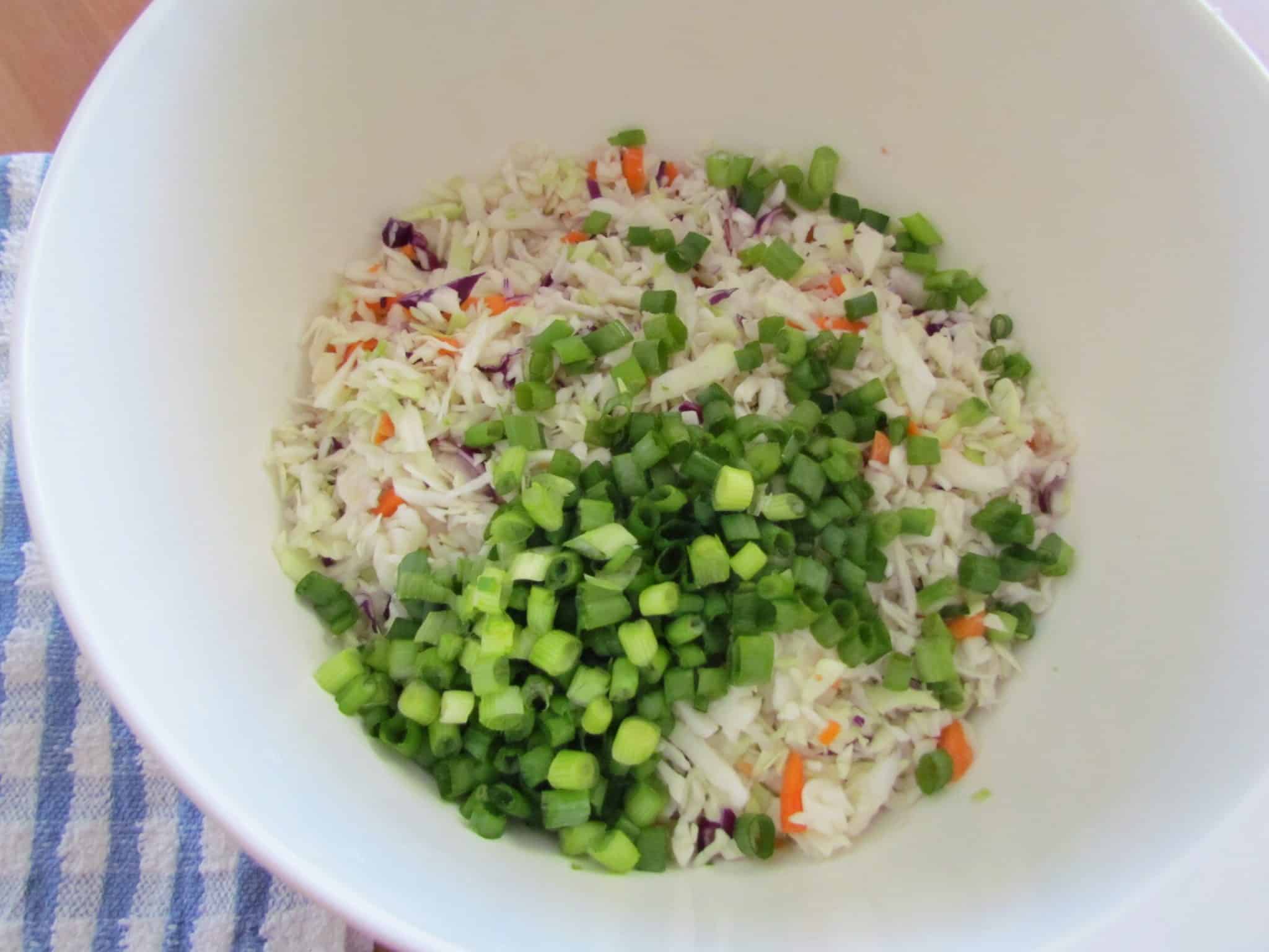 Cole slaw and sliced green onions in a white bowl.