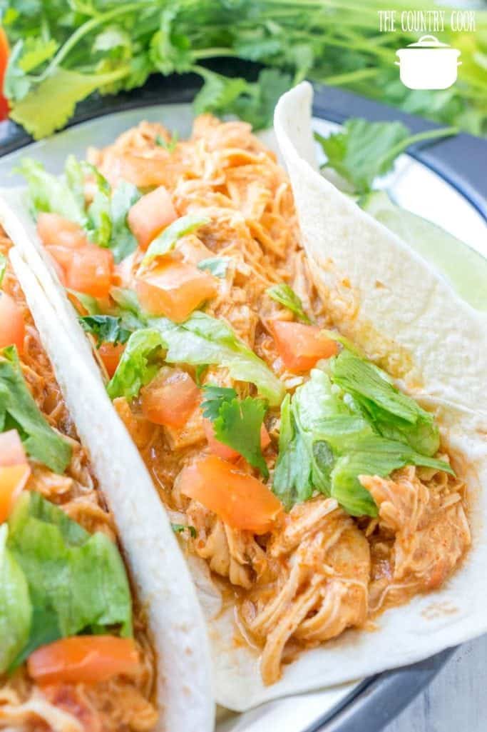 shredded crock pot taco chicken in a flour tortilla topped with lettuce and diced tomatoes