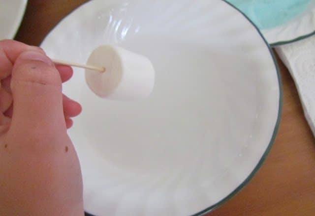 dipping jumbo marshmallow into water.