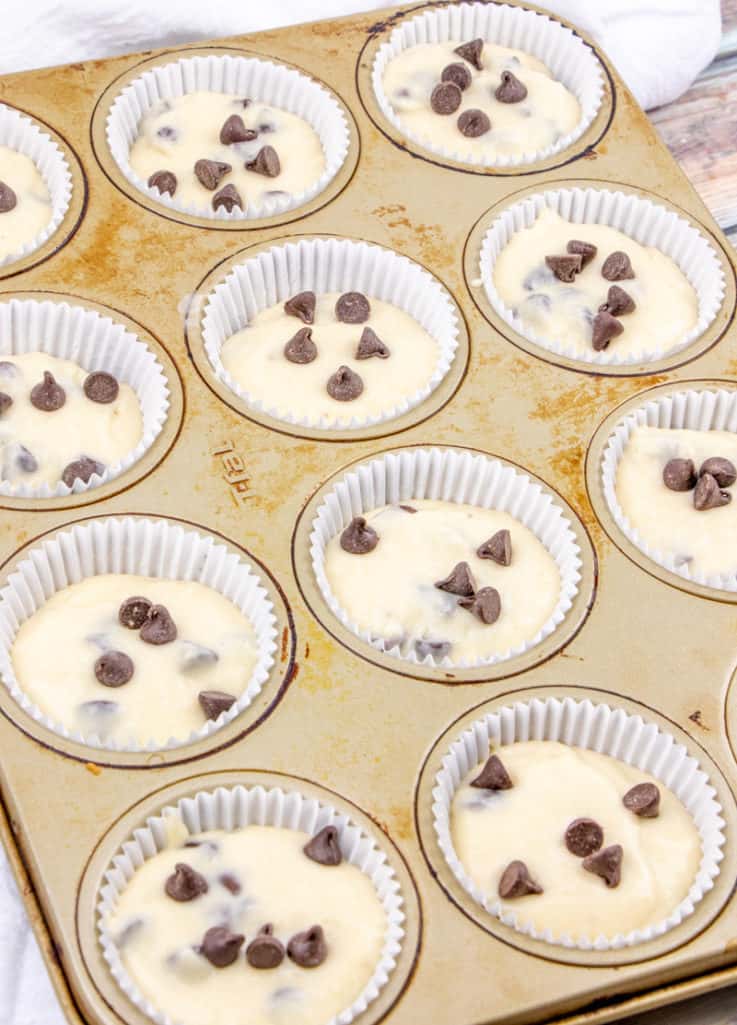 cupcake liners in a muffin pan filled chocolate chip muffin batter and topped with milk chocolate chips.