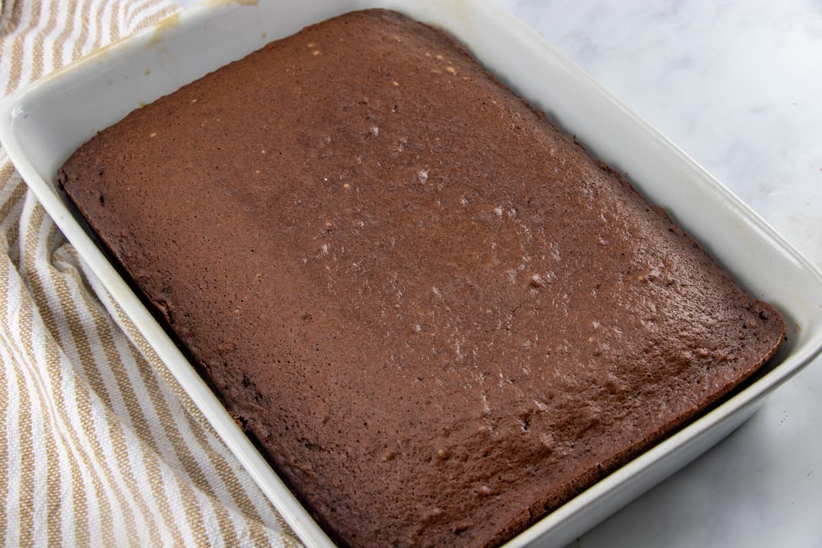 fully baked chocolate cake in a baking pan.