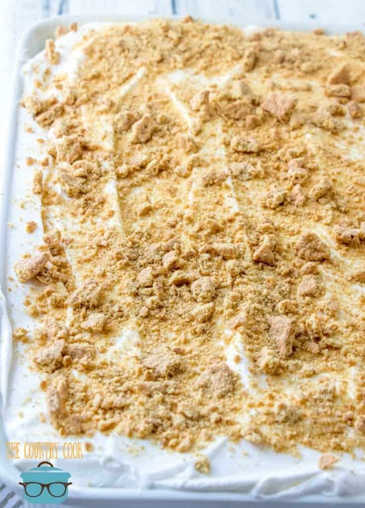 Easy Carrot Pudding Poke Cake topped with crushed graham crackers