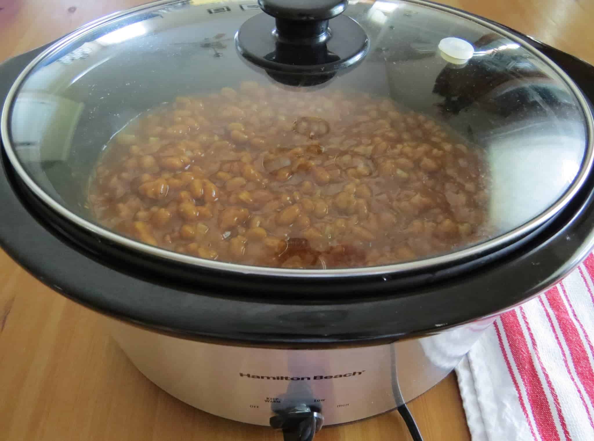 an oval Hamilton Beach slow cooker shown with a lid on top.