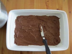 spreading cake batter into a baking dish.