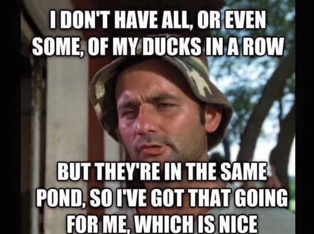 A meme with w photo of actor Bill Murray with text that says "I don't have all, or even some, of my ducks in a row. But they're in the same pond, so I've got that going for me, which is nice.