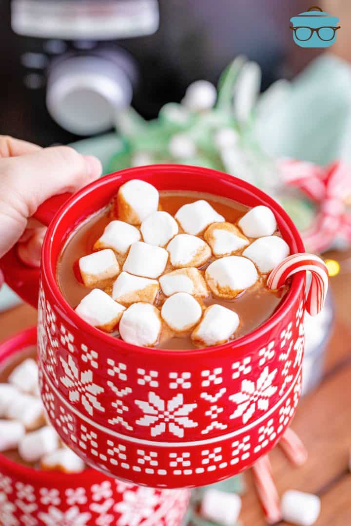 a hand holding a red and white mug full of hot chocolate and topped with mini marshmallows.