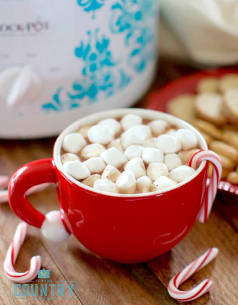 Crock Pot Hot Chocolate recipe from The Country Cook
