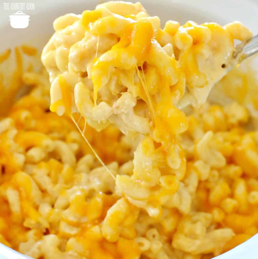 slow cooker macaroni and cheese (+video)