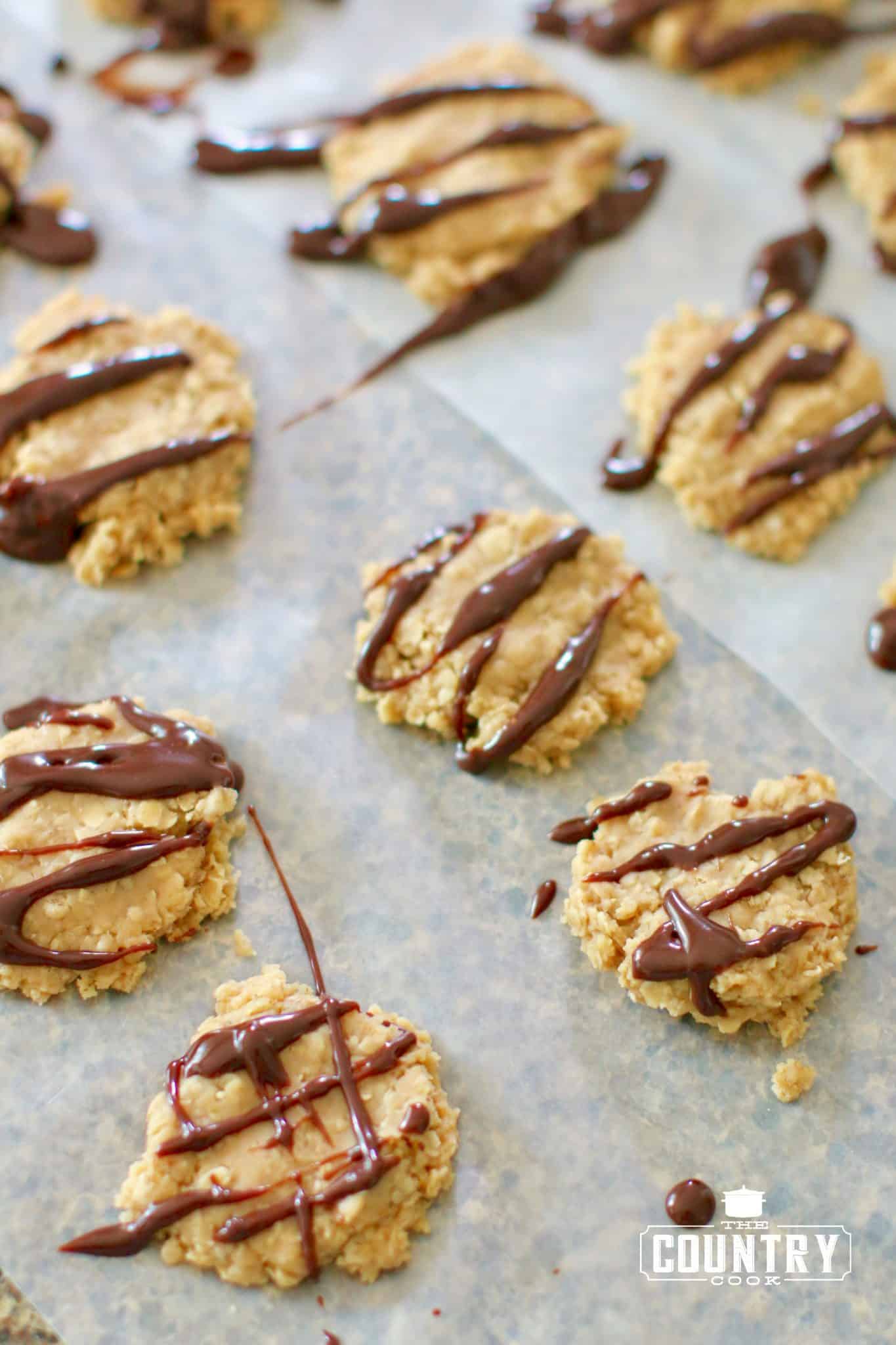 cookies shown with melted chocolate drizzled on top.