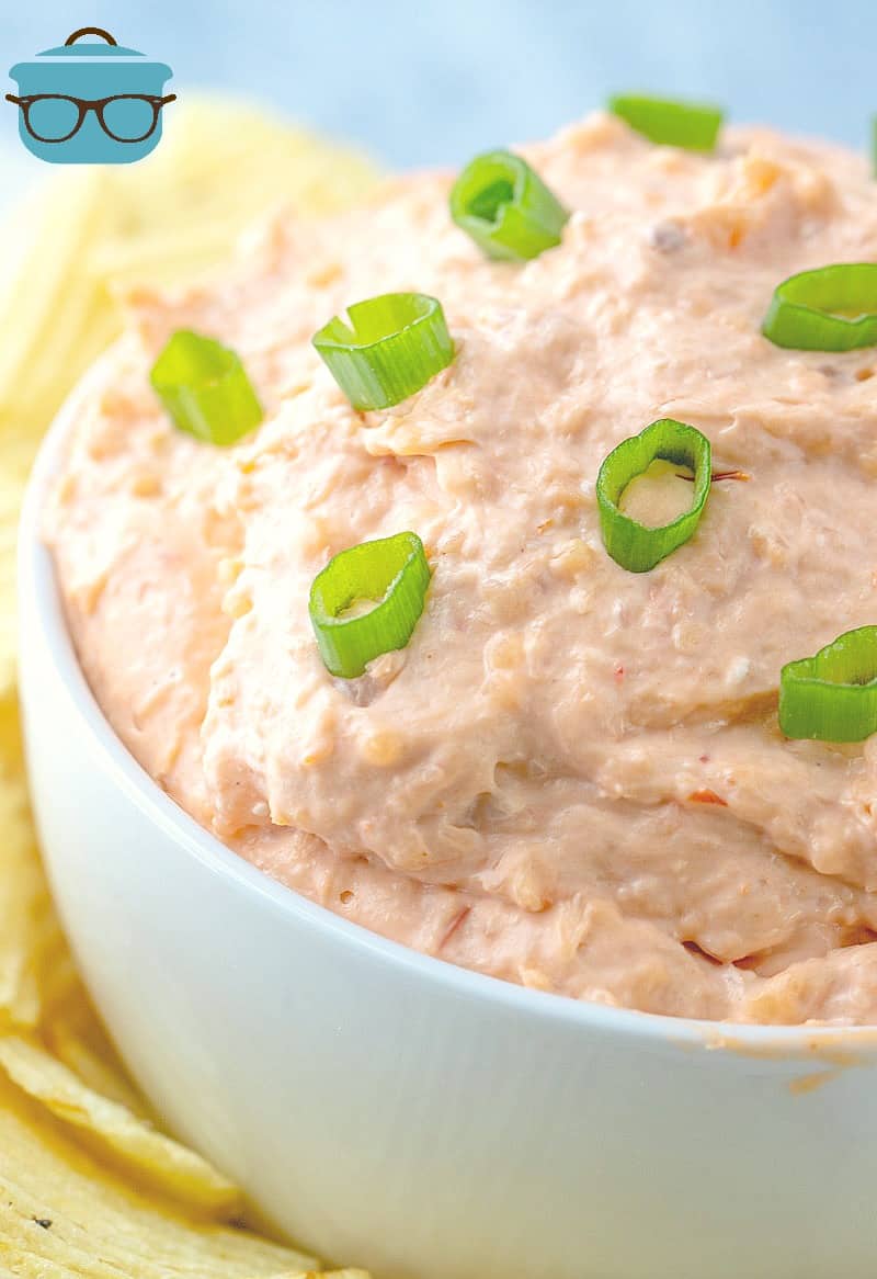 Easy Shrimp Dip Appetizer recipe (served in a white bowl and topped with sliced green onions).