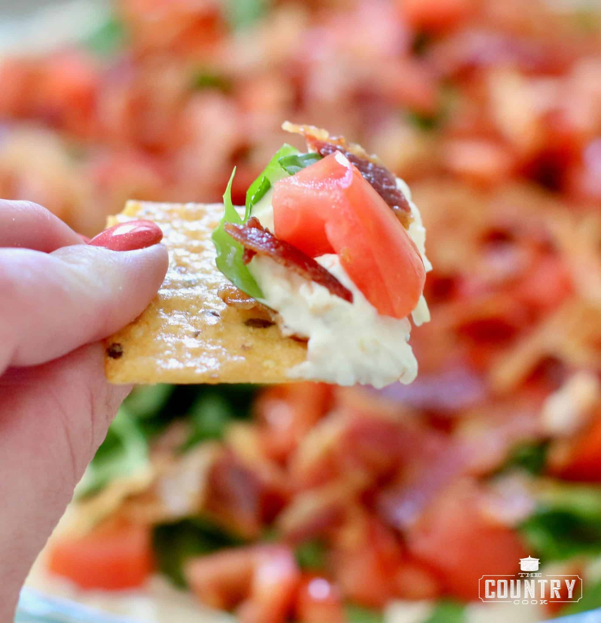 a hand holding up a cracker that has BLT Dip on it. 