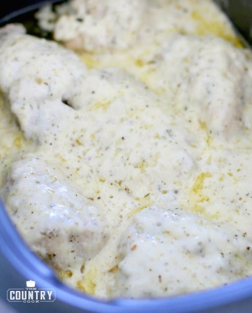 Melted garlic parmesan cheese on chicken breasts in crock pot