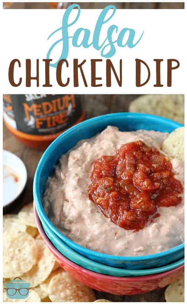 Easy Salsa Chicken Dip recipe from The Country Cook