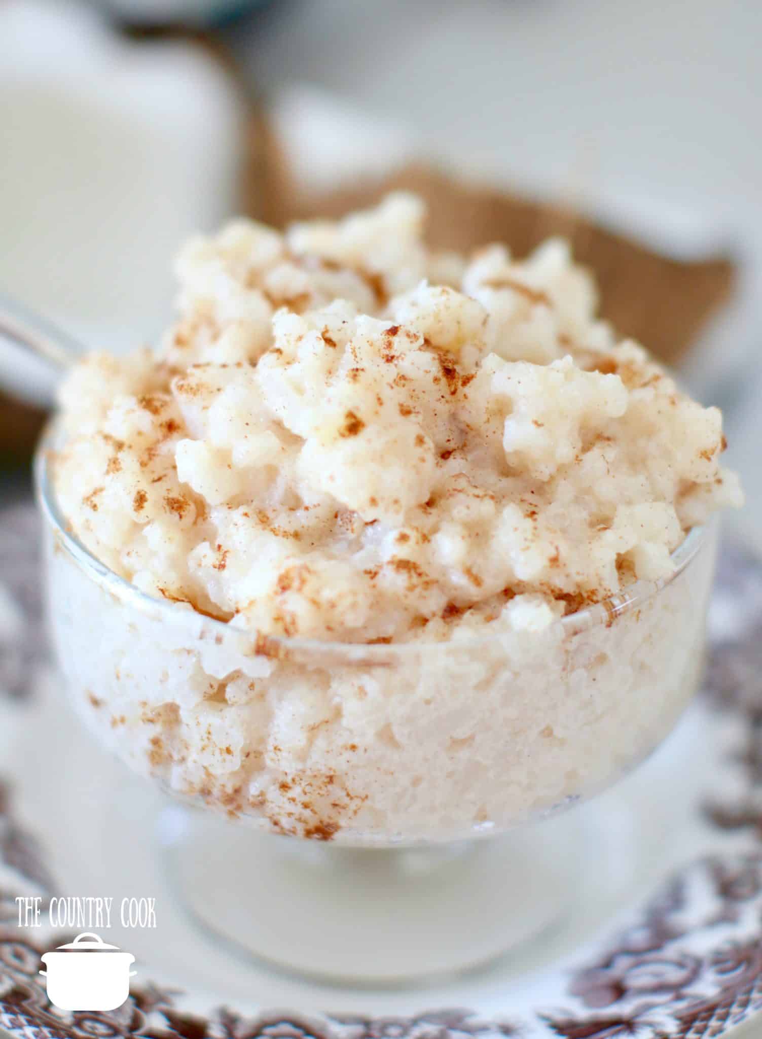 Crock Pot Coconut Rice Pudding and our first Disney Cruise