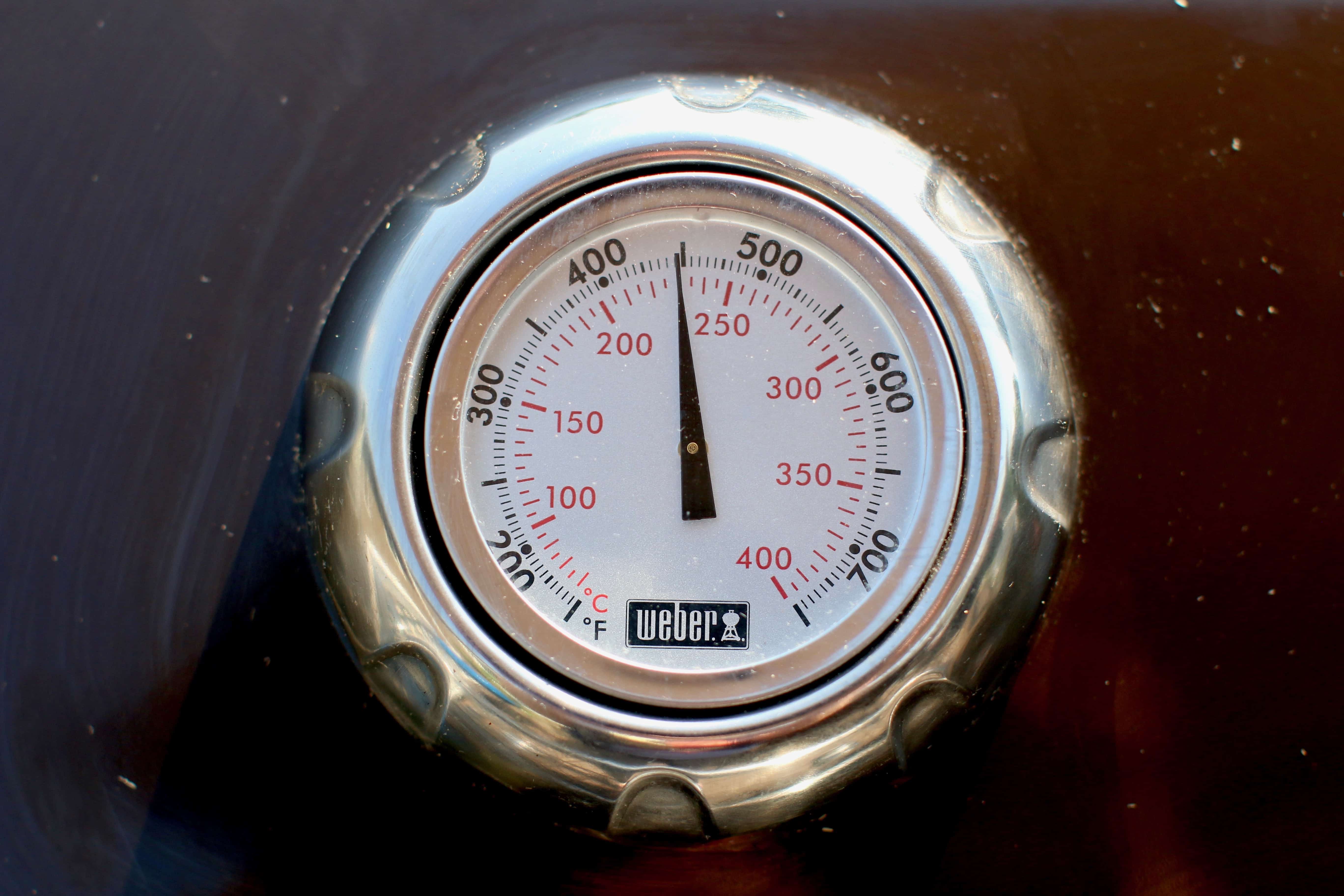 temperature gauge showing 450F on grill.