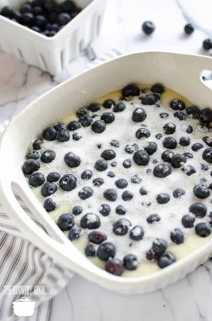 blueberry cobbler batter shown in a white square baking dish, topped with fresh blueberries and sprinkled with sugar.