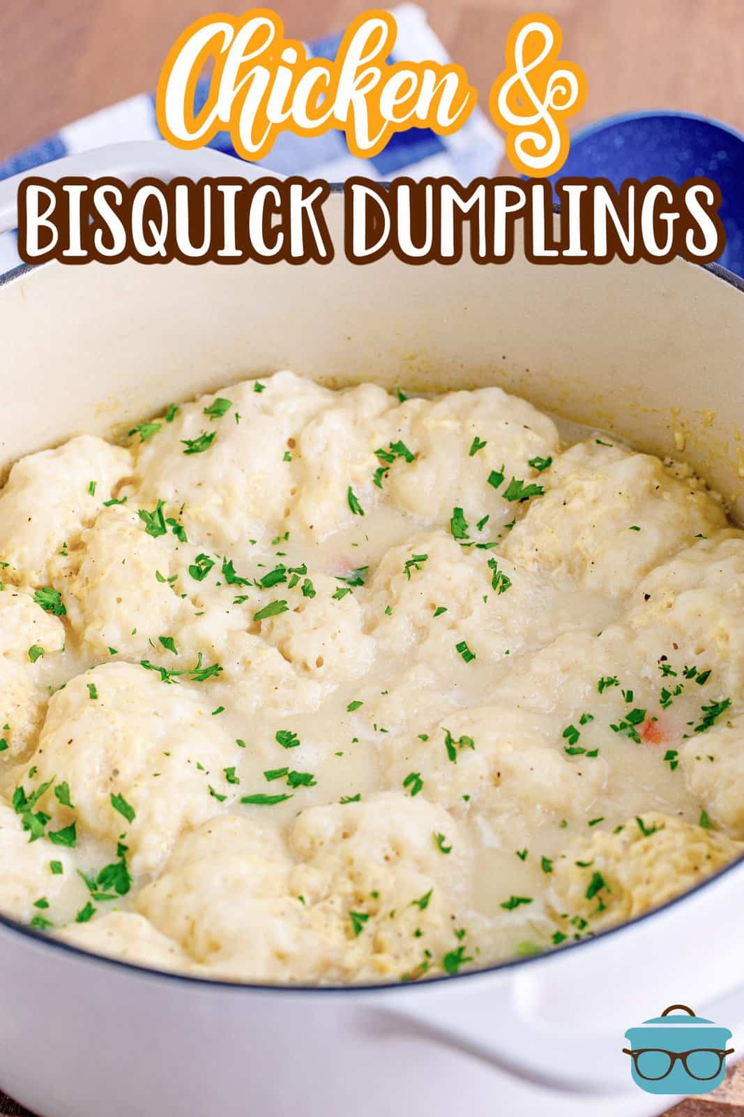 a large white pot of Chicken and Bisquick dumplings with dried parsley sprinkled on top. 