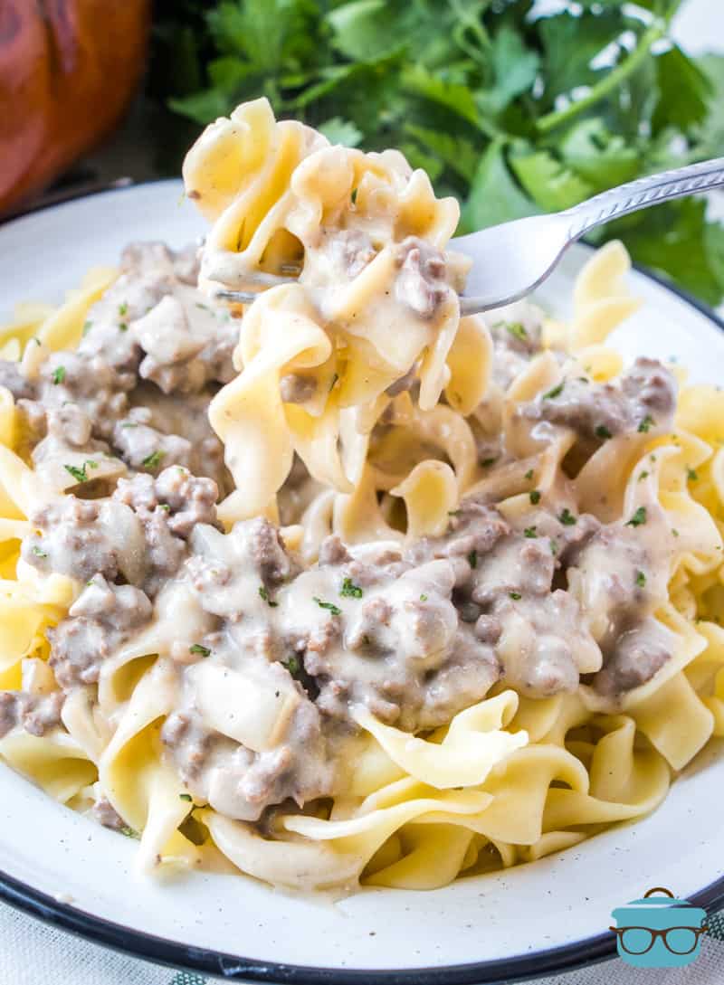 ground beef stroganoff shown served on a round white plate with a fork holding up a small serving.