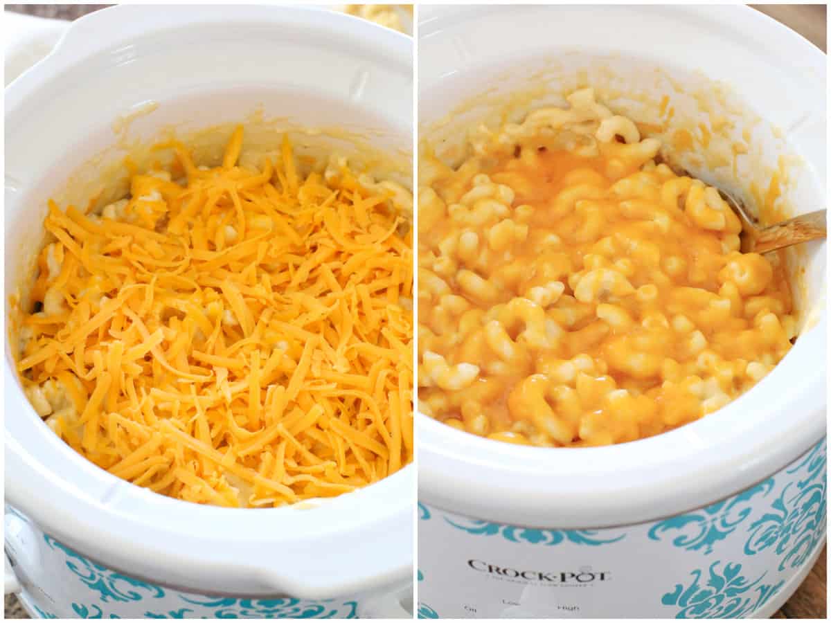 fresh shredded cheddar cheese added on top of cooked Mac and cheese; showing the cheese after melting. 