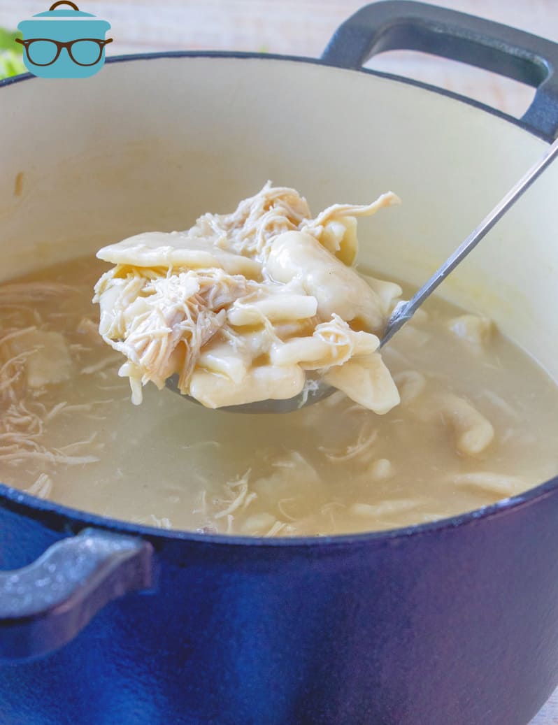 ladle full of Chicken and Dumplings in a pot