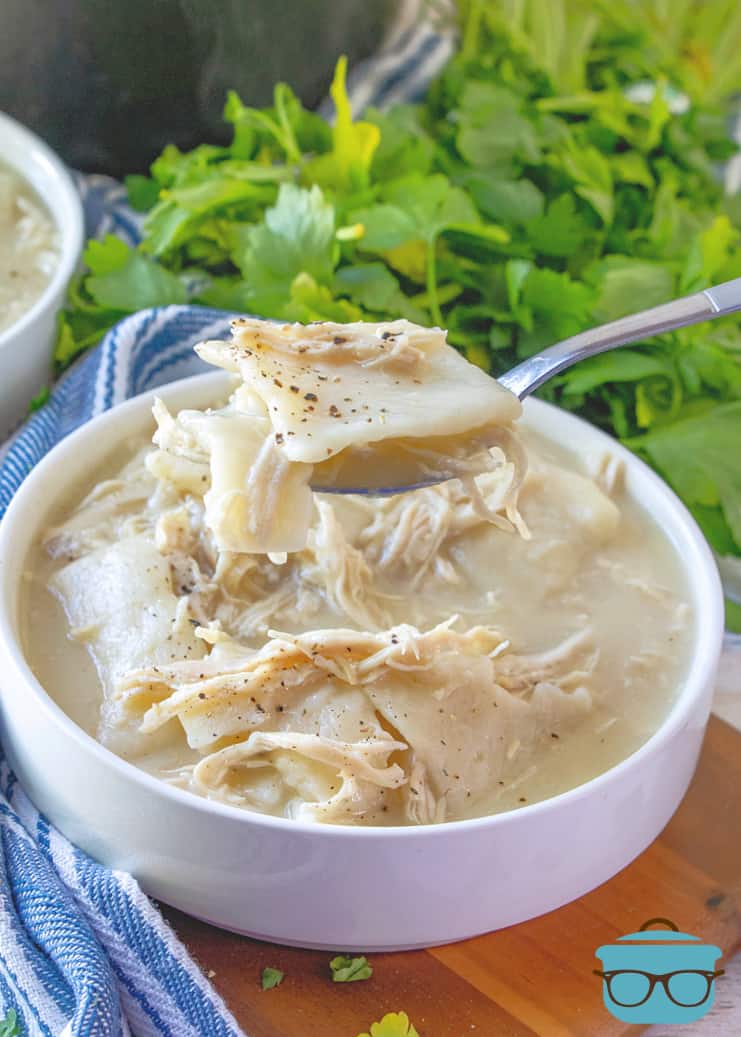 chicken and dumplings in a bowl, scooped out with a spoon