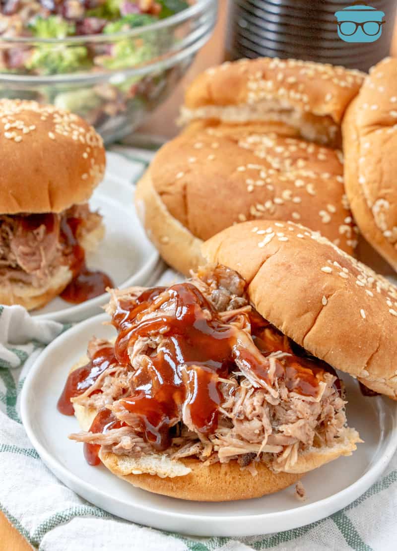 a pulled pork sandwich with bbq sauce shown on a small round white plate.