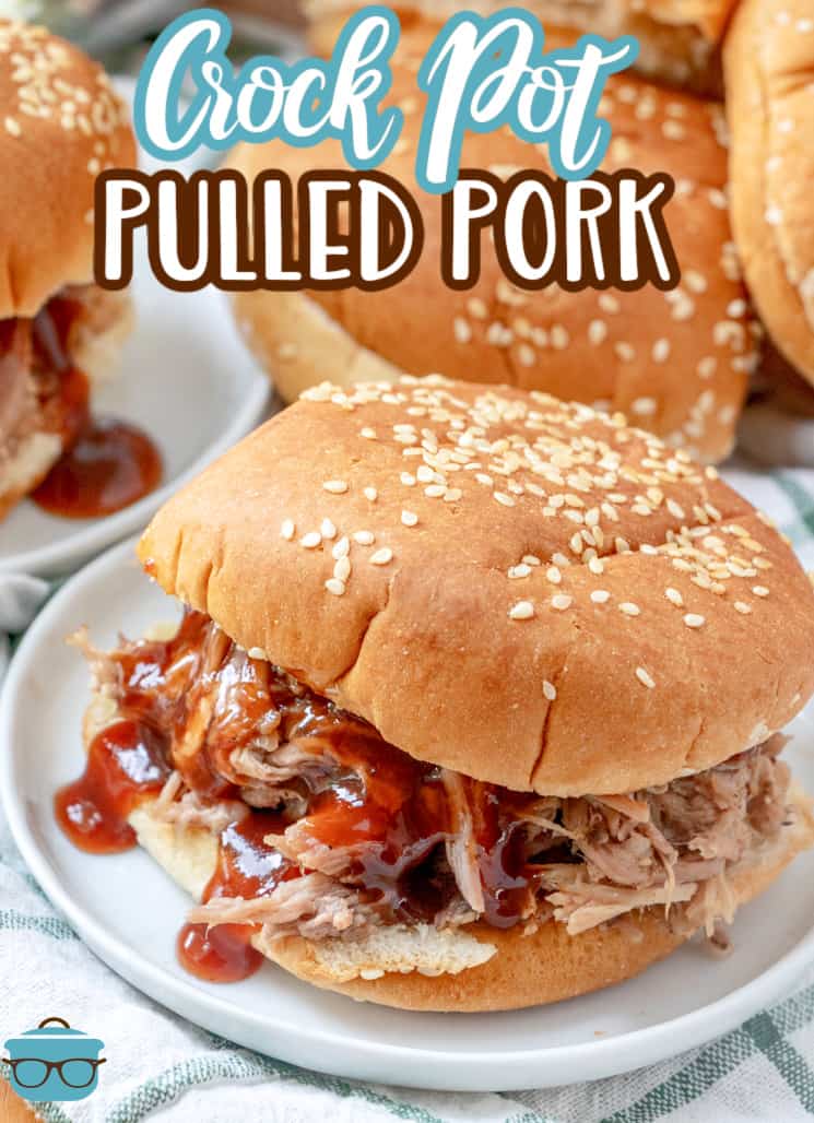 Closeup photo of pulled pork on a hamburger bun with barbecue sauce drizzled on top of the pork.