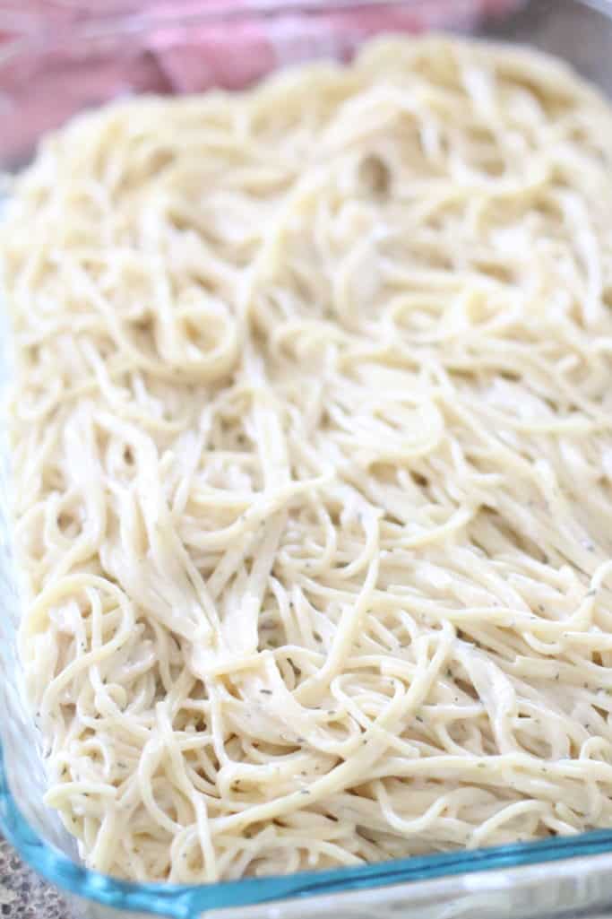 Alfredo covered spaghetti noodles in a prepared 9x13 baking dish