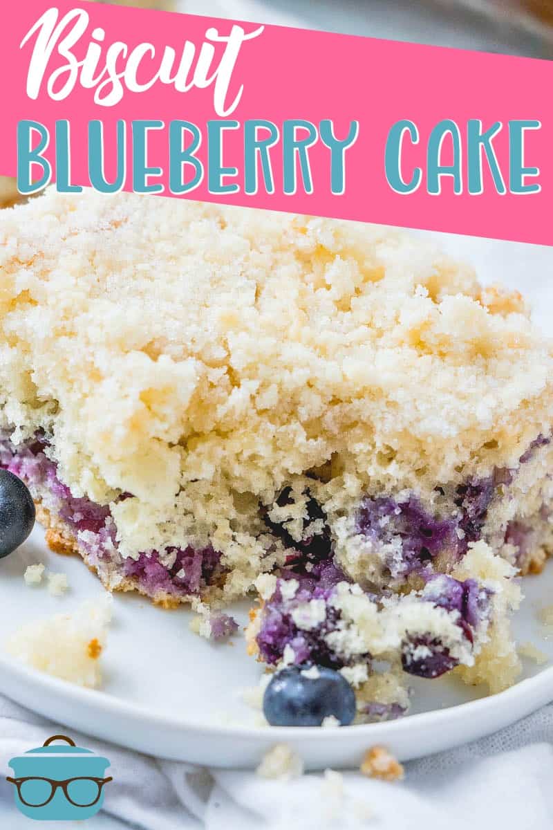 closeup photo of a biscuit blueberry cake that has had a bite removed.