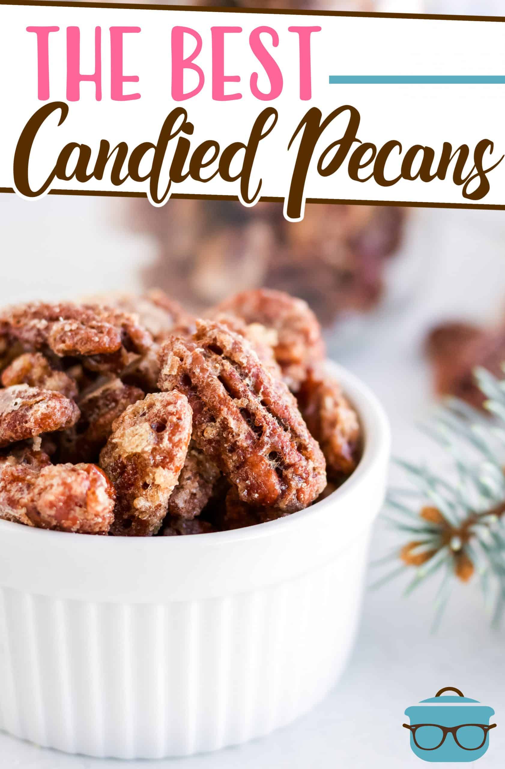 The Best Candied Pecans recipe from The Country Cook, candied pecans shown in a small white bowl with a small pine tree branch on the side.