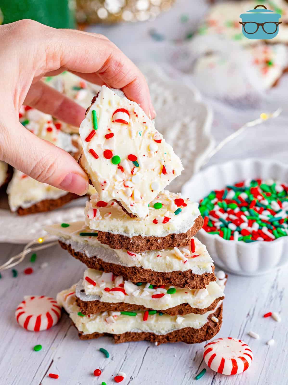 a hand holding up a piece of peppermint bark.