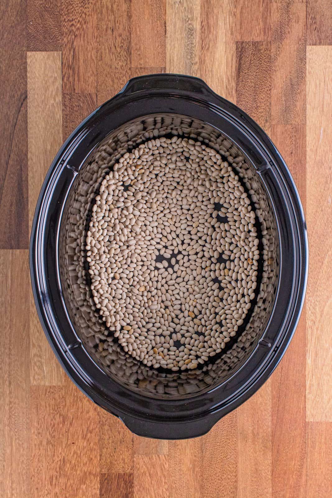 dried navy beans spread out into the bottom of an oval slow cooker. 