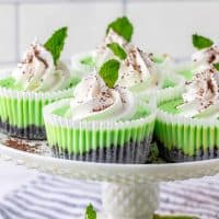 Close up of Mini Mint Chocolate Cheesecakes on cake stand thumbnail image