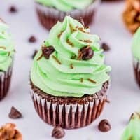 Close up of one Mint Chocolate Chip Cupcake recipe square image