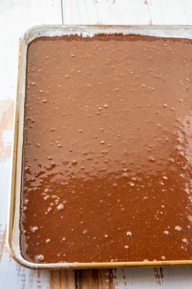 Cake batter poured into a floured baking pan.