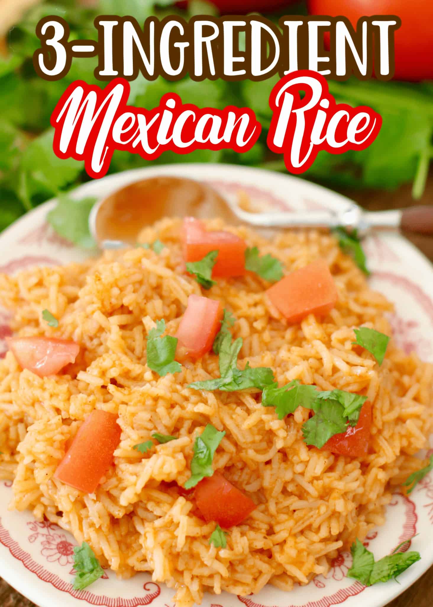 Mexican Restaurant Rice recipe from The Country Cook, rice shown on a round plate.