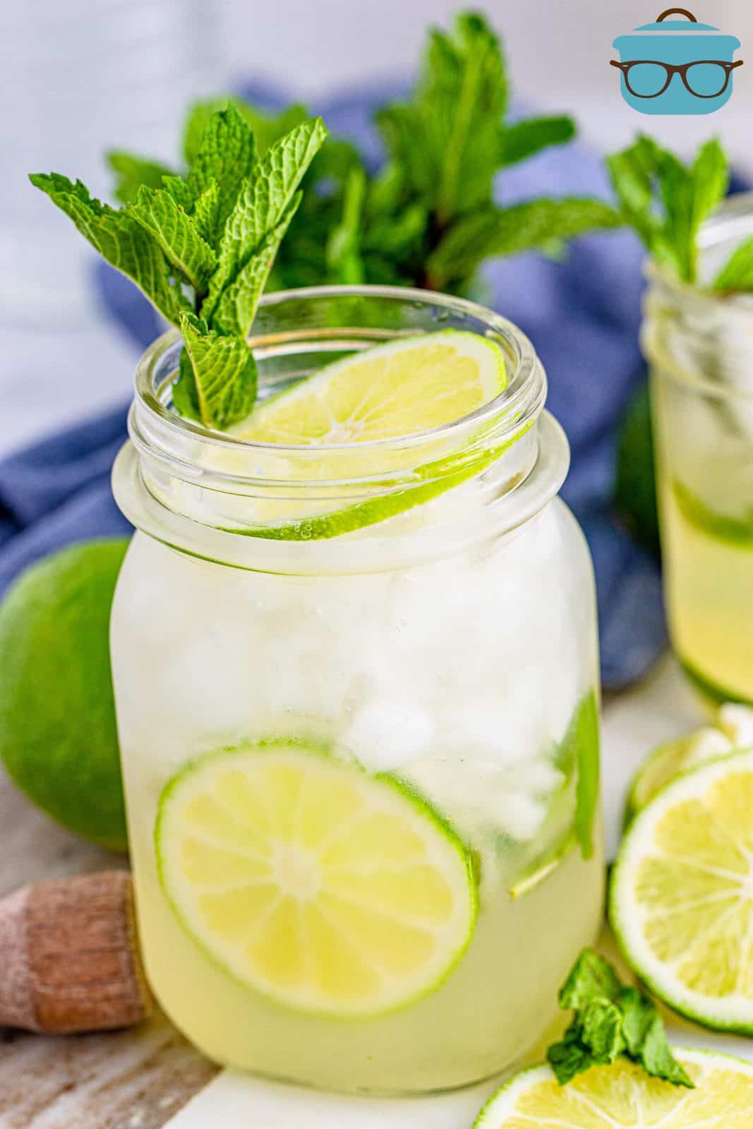 Summer Mojito shown in a glass with mint and limes.