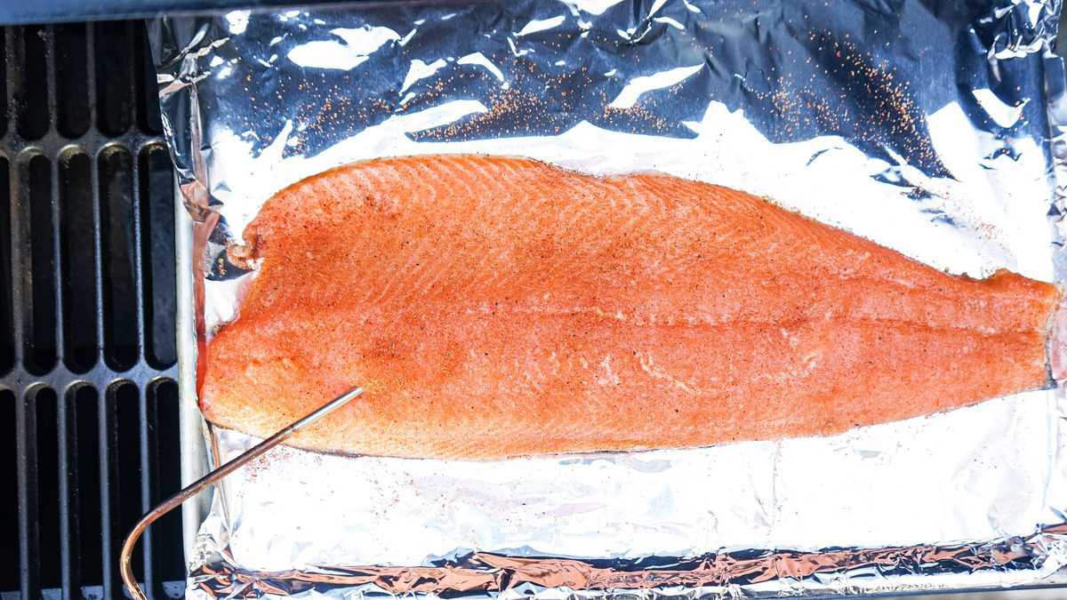 Meat probe in salmon filet on smoker