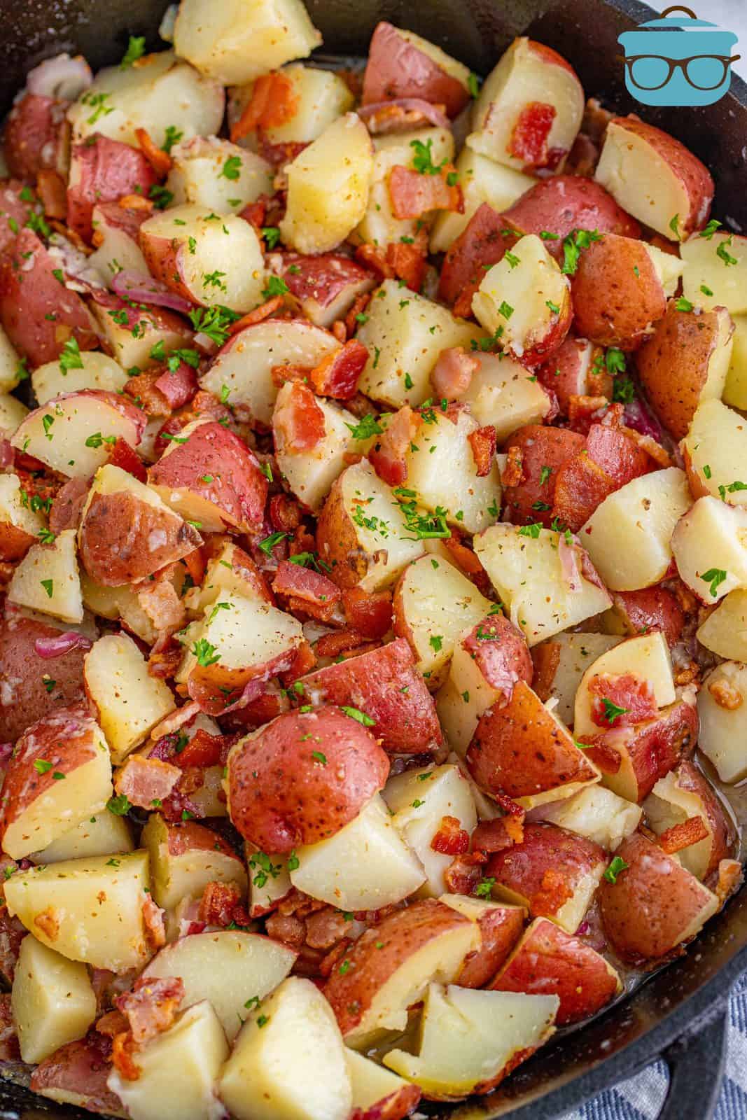 German potato salad close up in cooking pan